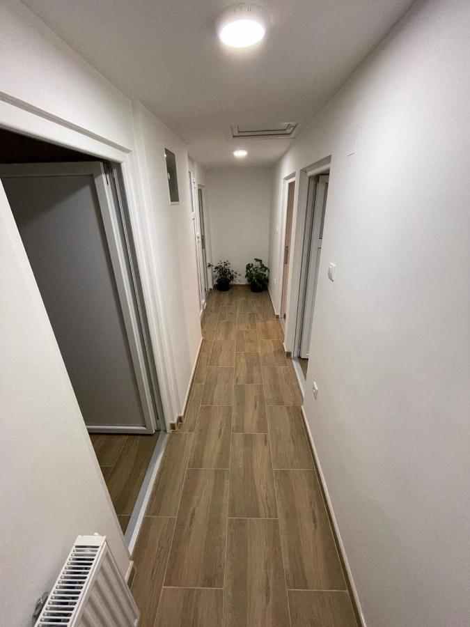 Apartman Ambijent Arandjelovac Dış mekan fotoğraf